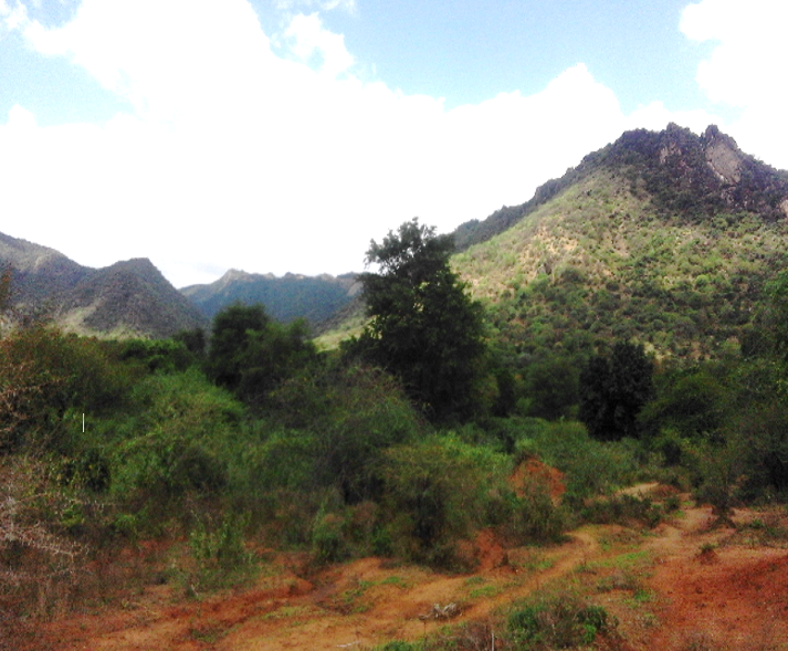 Hidilola – Sololo Road 